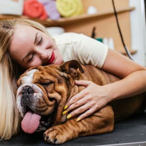 english bulldog shedding ask english bulldog