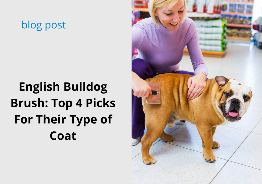 english bulldog brush