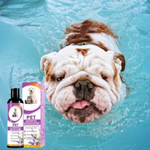 best shampoo for english bulldogs