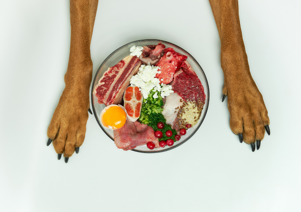 raw dog diet for bulldogs