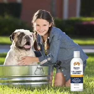 shampoo for an english bulldog